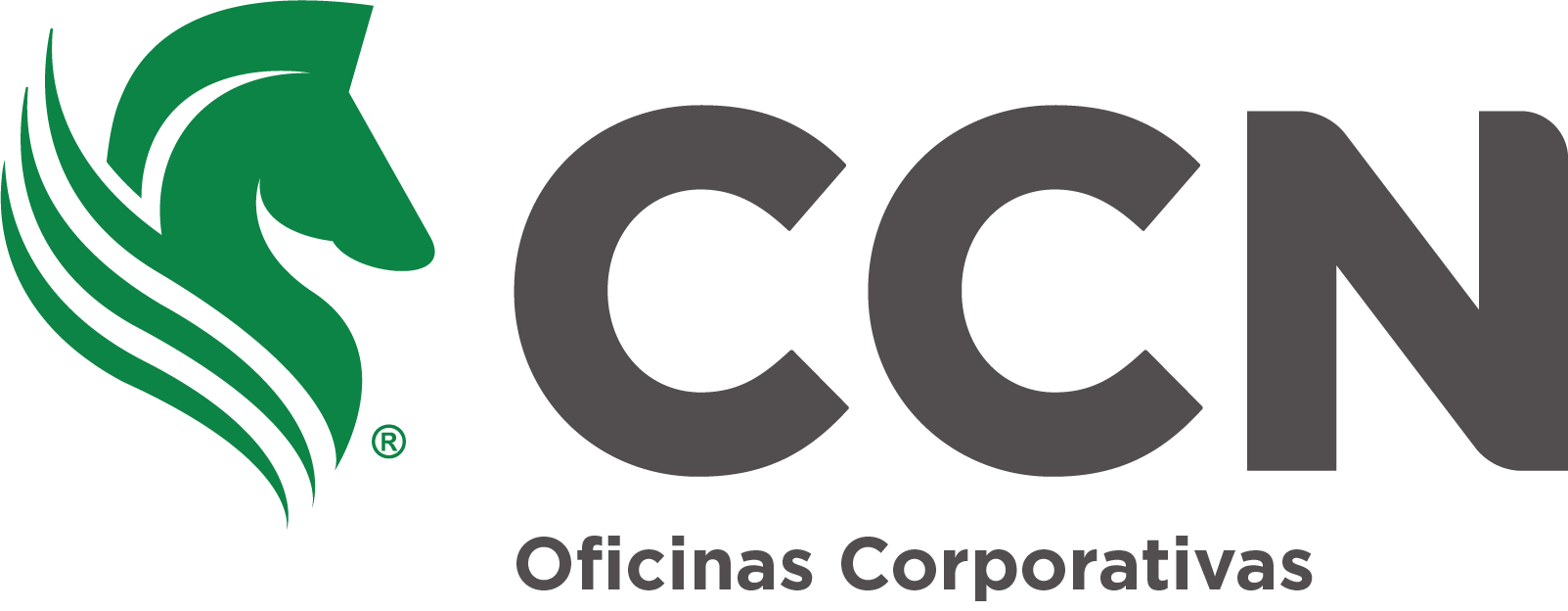 CCN Corporativo